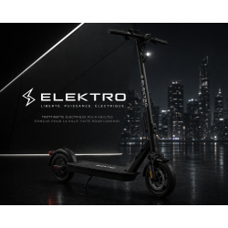 Trottinette électrique pour adulte